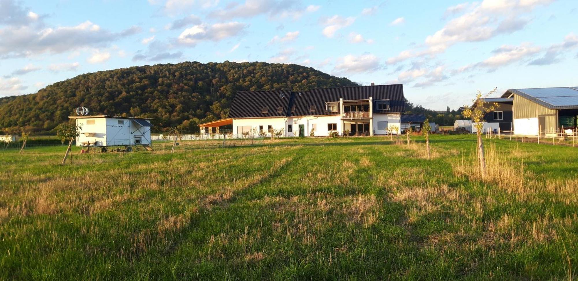 Ferienwohnung Wilhelmshof Sinzig Exteriör bild